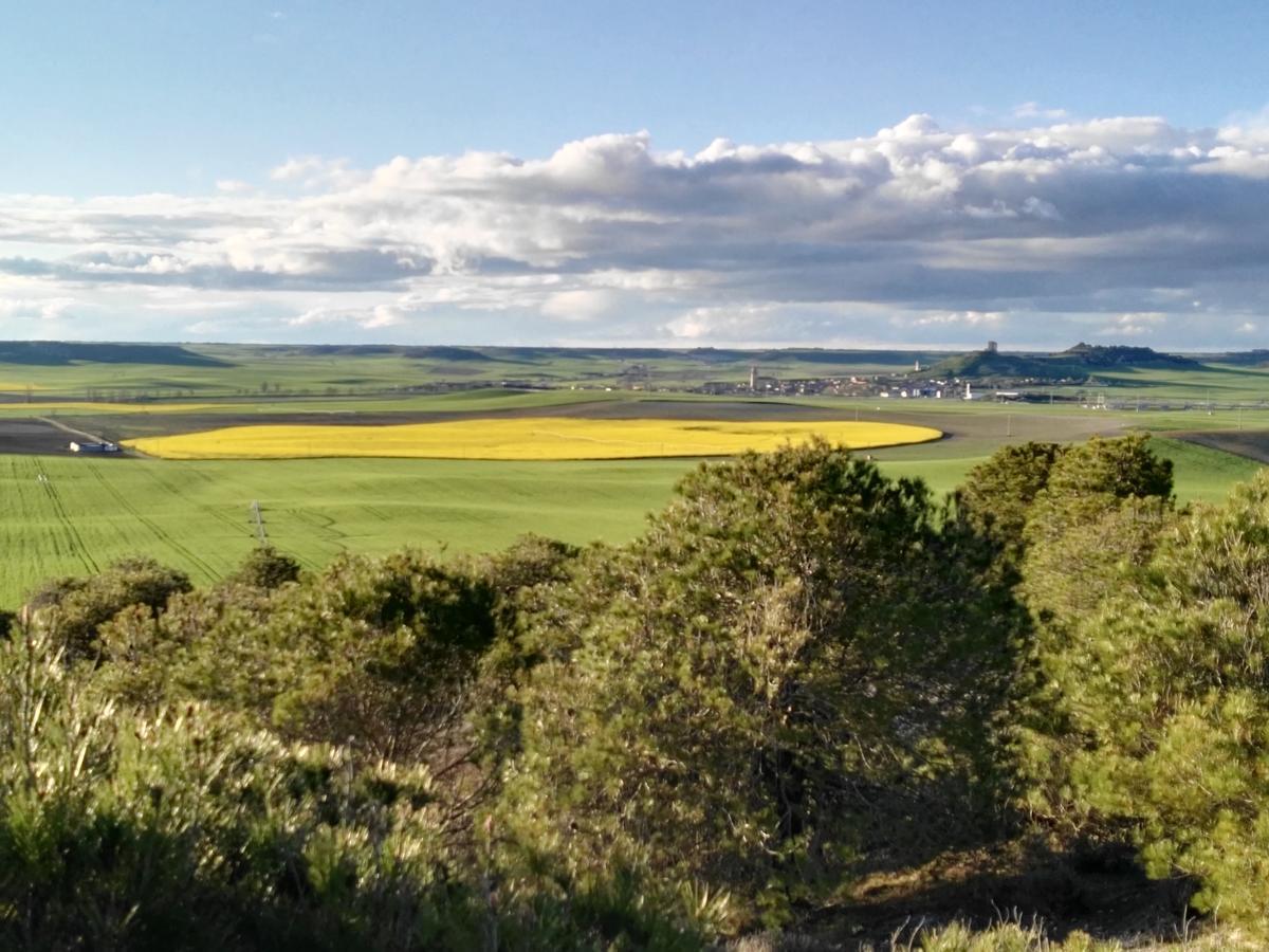La Aldea Colorada Casa Rural Mota del Marqués エクステリア 写真